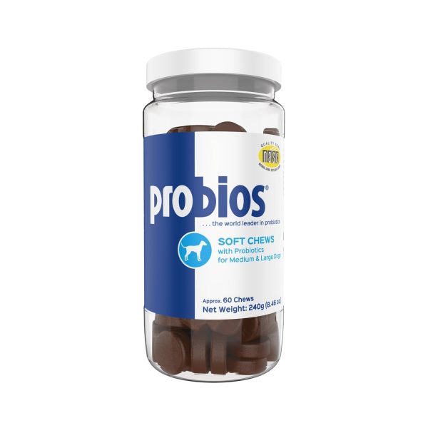 Probios Soft Chews with Prebiotics for Medium and Large Dogs 240gm on Sale